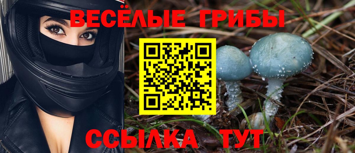 Меф мяу мяу Кольчугино