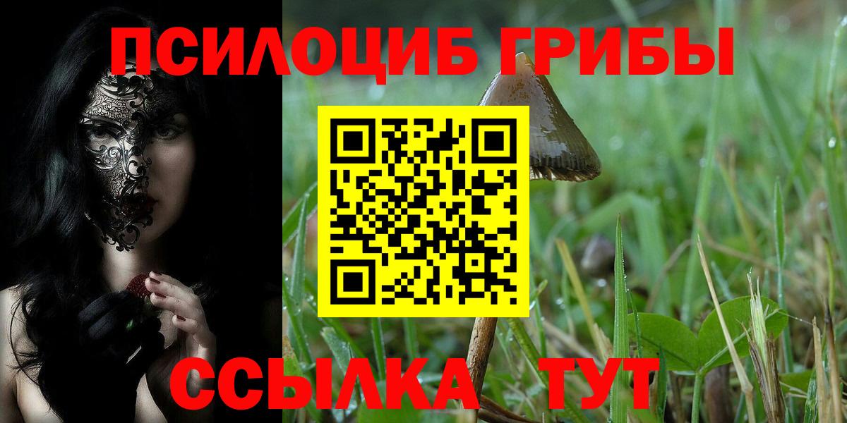 Кольчугино  Галлюциногенные грибы прущие грибы  Вход с VPN 